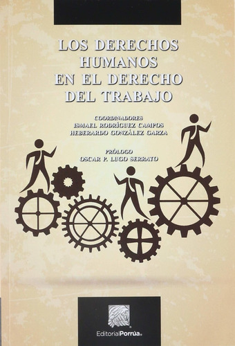 Libro Los Derechos Humanos En El Derecho Del Trabajo Porrua