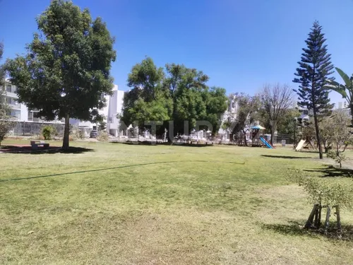 Casa En Renta En Condómino, San Isidro Residencial, Zapopan