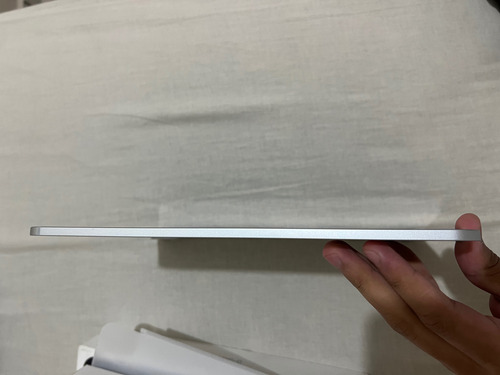 Apple iPad Pro M4 256gb 11 (wi-fi) 8gb Ram Prateado (Usado)