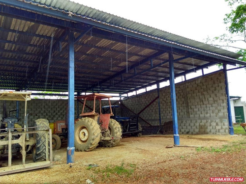 Imagen 4 de 7 de Haciendas - Fincas En Venta