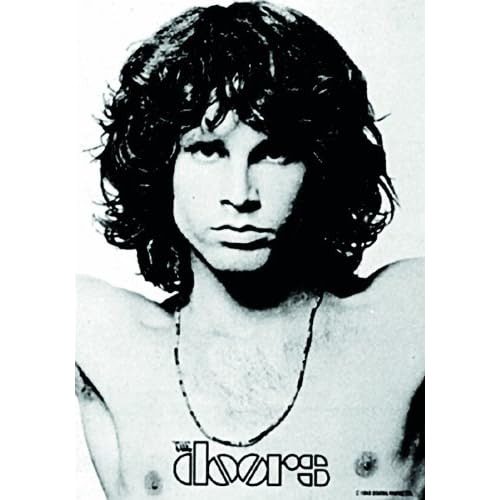 Póster De Pared Jim Morrison Brazos Abiertos, Estétic...