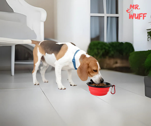 Plato Comedero Perro Plegable Interactivo Grande Mr Wuff Color Rojo