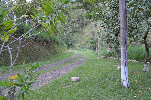Imagem 18 de 30 de Ref.: 10012 - Excelente Oportunidade Próximo A Rio Preto -mg - 523