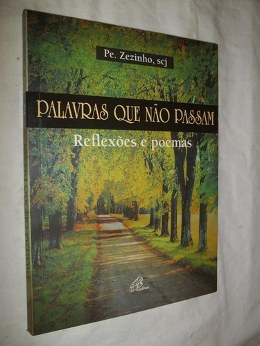 Livro Palavras Que Não Passam - Pe. Zezinho Scj - Reflexões