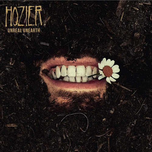 Vendo Ingresso Show Hozier No Rj 01/06 - Pista Inteira!
