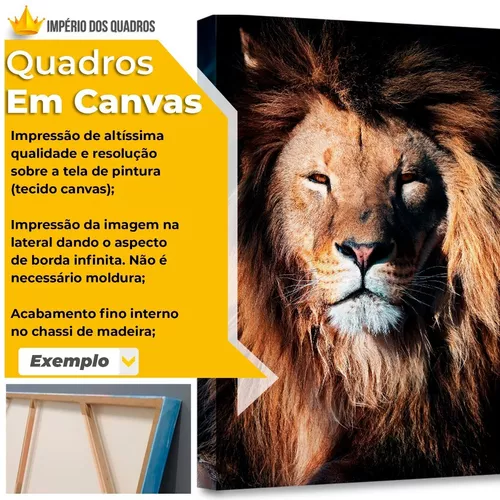 Cavalo Com Crina Branca Desenho Arte Quadro Canvas 60x40cm