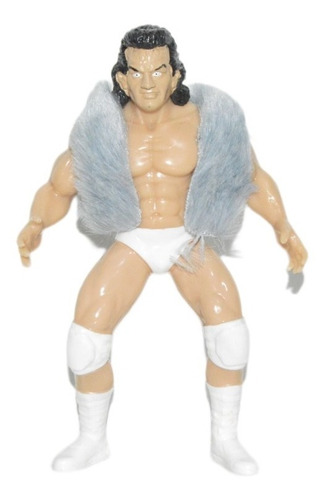 Figura Lucha Libre Triple Aaa Luchador Perro Aguayo