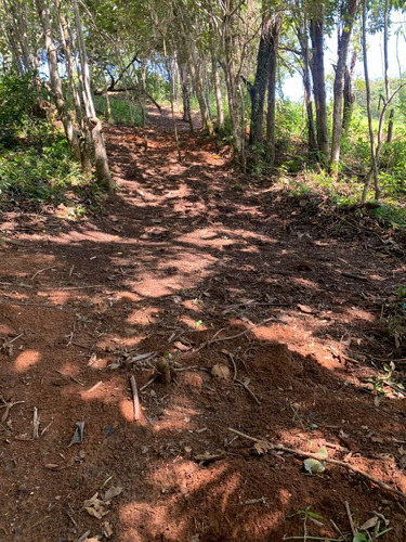Imagem 7 de 24 de Ds-terreno Próximo De Igarata