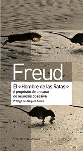 El Hombre De Las Ratas  - Freud  -  Amorrortu