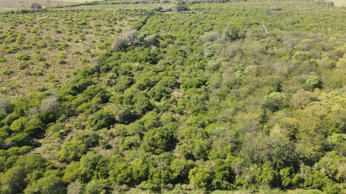 Chacra En Venta 4 Hectáreas, Gualeguaychú, Perdices.