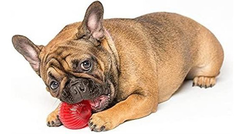 Pet Qwerks Blinky Bobble Ball Juguete De Perro De Medium