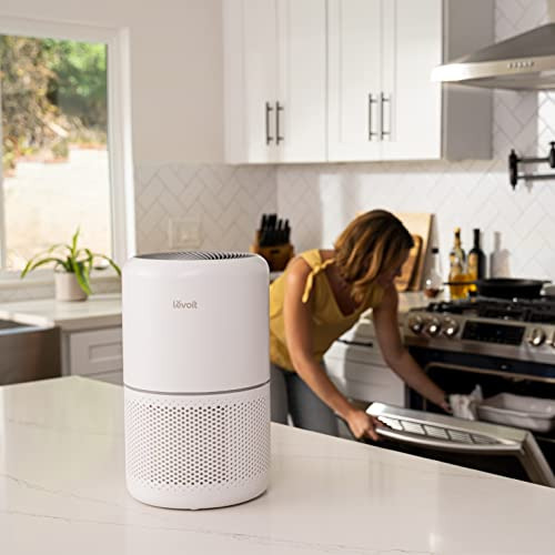 Purificador De Aire Levoit Core 300 H13 True Hepa Filter Bla
