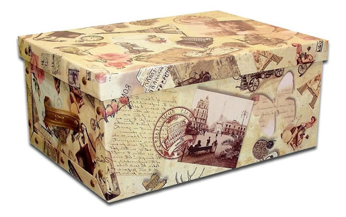 Caja Organizadora Con Manija Mediana Microbox Pettish Online Color Vintage
