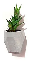 Comprar Maceta De Pared Encastrable Para Cactus Plantas X6