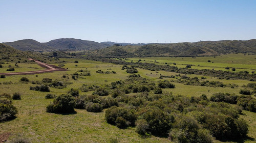 Imagen 9 de 13 de Chacra Campo En Venta En Aguas Blancas, Lavalleja, Mataojo (ref: Atm-6840)