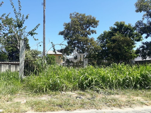 Imagem 2 de 11 de Terreno - Campeche - Ref: 1541 - V-hi72368