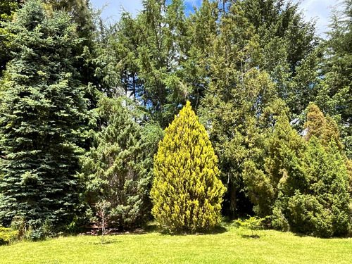 Casa A 2kms Villarrica A Pedregoso Terreno 6.700 Mts2