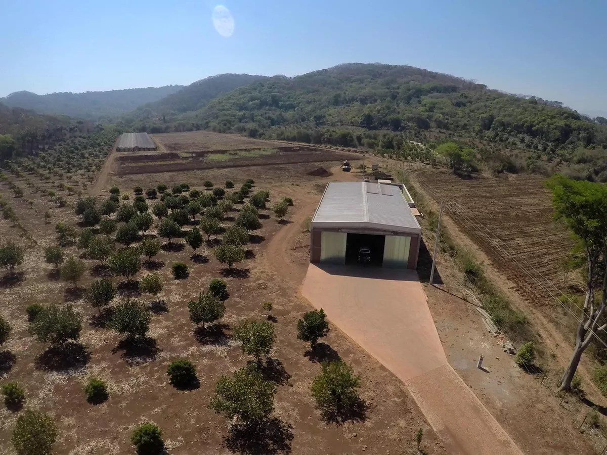 Residencia En El Campo, 14 Hectáreas En El Estado De Nayarit