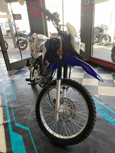 Imagen 11 de 15 de Motomel Skua 150 V6
