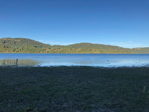 Imagen 5 de 30 de Única Fracción Costa De Lago Av Bustillo Bariloche