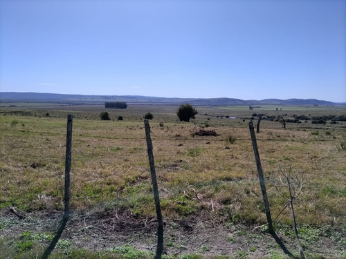 Campo De 397 Has - Maldonado, Aiguá