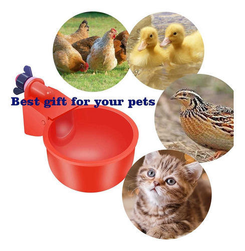 16 Fundadores Automáticos De Bebida Para Aves, Galinhas E Ga