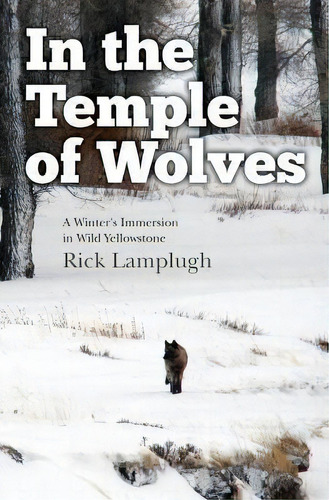 In The Temple Of Wolves : A Winter's Immersion In Wild Yellowstone, De Rick Lamplugh. Editorial Createspace Independent Publishing Platform, Tapa Blanda En Inglés