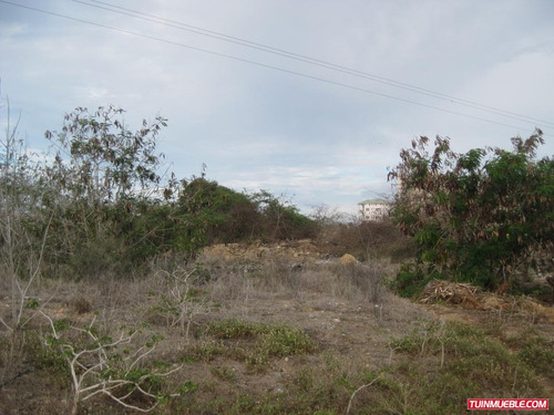 Imagen 5 de 11 de Terrenos En Venta