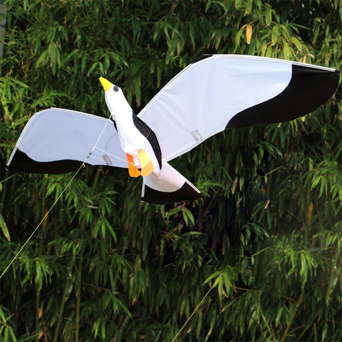 Hermosa De Gaviota En 3d Para Niños Y Adultos, De C