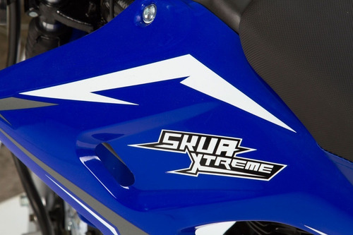 Imagen 16 de 19 de Motomel Skua Xtreme 125 Cc - Efectivo/financiado! Abasto!