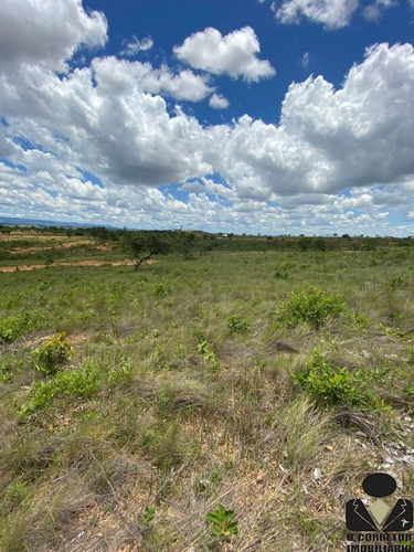 Imagem 7 de 14 de Fazendinhas À Venda, De 20.000m2, No Condomínio Aconchego Da Serra, São José De Almeida Mg! Região Turística Da Serra Do Cipó! - Oci0135 - 70721009