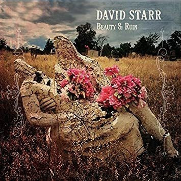 Starr David Beauty & Ruin Usa Import Lp Vinilo