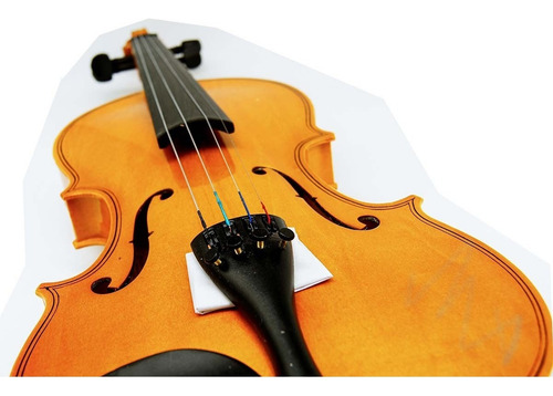 Violín 4-4 Acústico Profesional Madera Estuche Y Accesorios