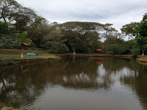 Imagen 4 de 14 de Lotes P/quintas Desde ¢24.5 Millones, 5.000 M2, San Mateo