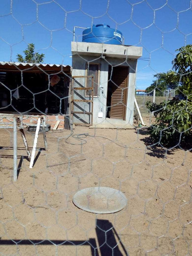 Imagem 12 de 14 de Venda De Chácara Em Bofete Sp