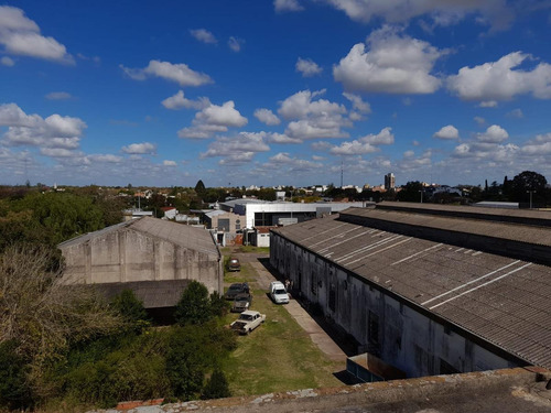 Imagen 5 de 13 de Nave Industrial En Alquiler En El Centro De Lujan.