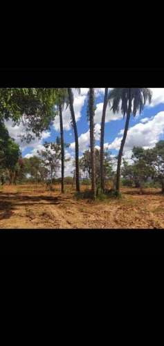 Vende-se Lindas Chácaras 2000m Quadrado, Em Jaboticatuba Mg