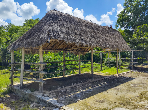 Venta De Rancho En Zona Ganadera De Yucatán, Con Cenotes, 453 Has