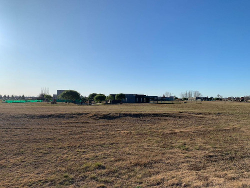 Imagen 8 de 13 de Hermoso Lote Central Con Fondo Libre Y Verde En El Area 12 - San Sebastián