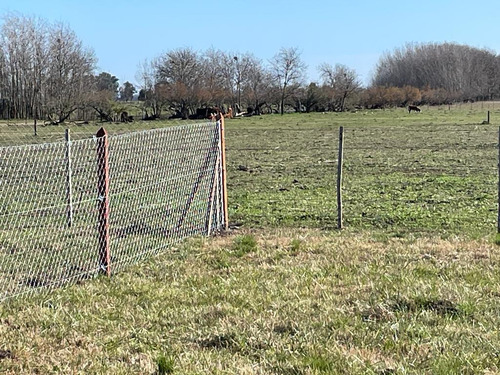 Lotes En Paraje Don Cipriano