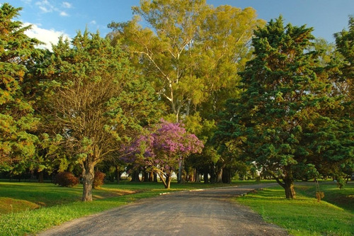 Imagen 10 de 12 de Lote Interno En La Candida Club De Campo