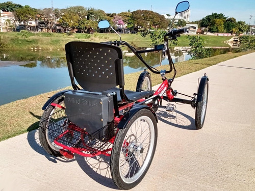 Imagem 12 de 14 de Quadriciclo Elétrico 350 Watts 36 V C/ Ré 15ah Wind Bikes