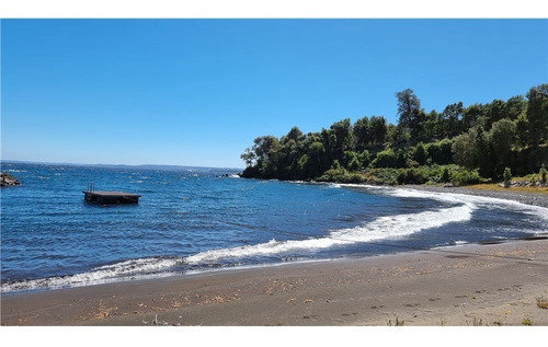 Imagen 5 de 13 de Parcelas De 5.000 M2 A Orillas Del Lago Llanquihue
