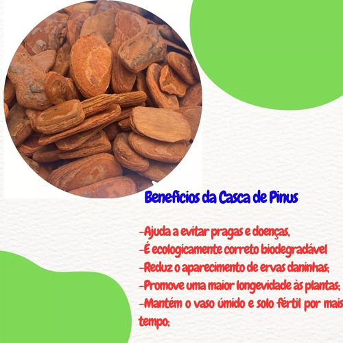 Casca De Pinus Polida Pequena Decoração Vasos Jardim 1kg