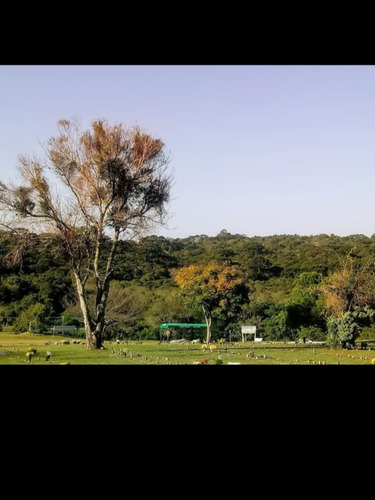 Vendo Um Jazigo No Cemitério Parque Iguaçu Em Curitiba/pr.