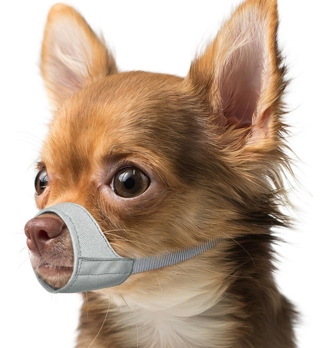Short Snout Dog Muzzle, Small Muzzle For Chihuahua Shih