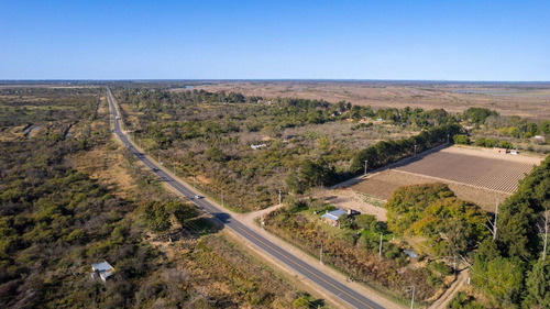Imagen 7 de 9 de Hectáreas A La Venta En Ruta 1, Arroyo Leyes