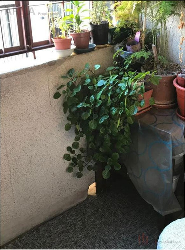 Venta Apartamento Dos Dormitorios Pocitos Montevideo