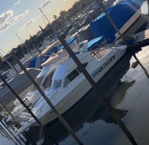 Alquiler Barco Crucero Yate Lancha Embarcacion Bote Paseo