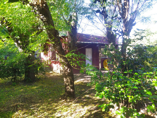 Inmobiliaria Castro Vende En Pinar Sur, Casa De 4 Dormitorios + Apartamento, Excelente Ubicación